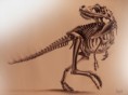 /album/illustration/tyrannosaure-jpg/
